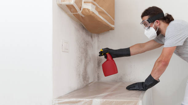 Professional Crawl Space Mold Remediation technician working in Galeton, CO