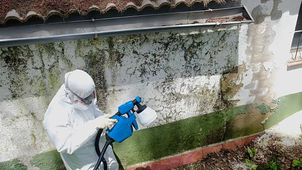 Top rated local Crawl Space Mold Remediation specialists in Galeton, CO